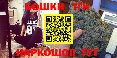 соль ск Новозыбков